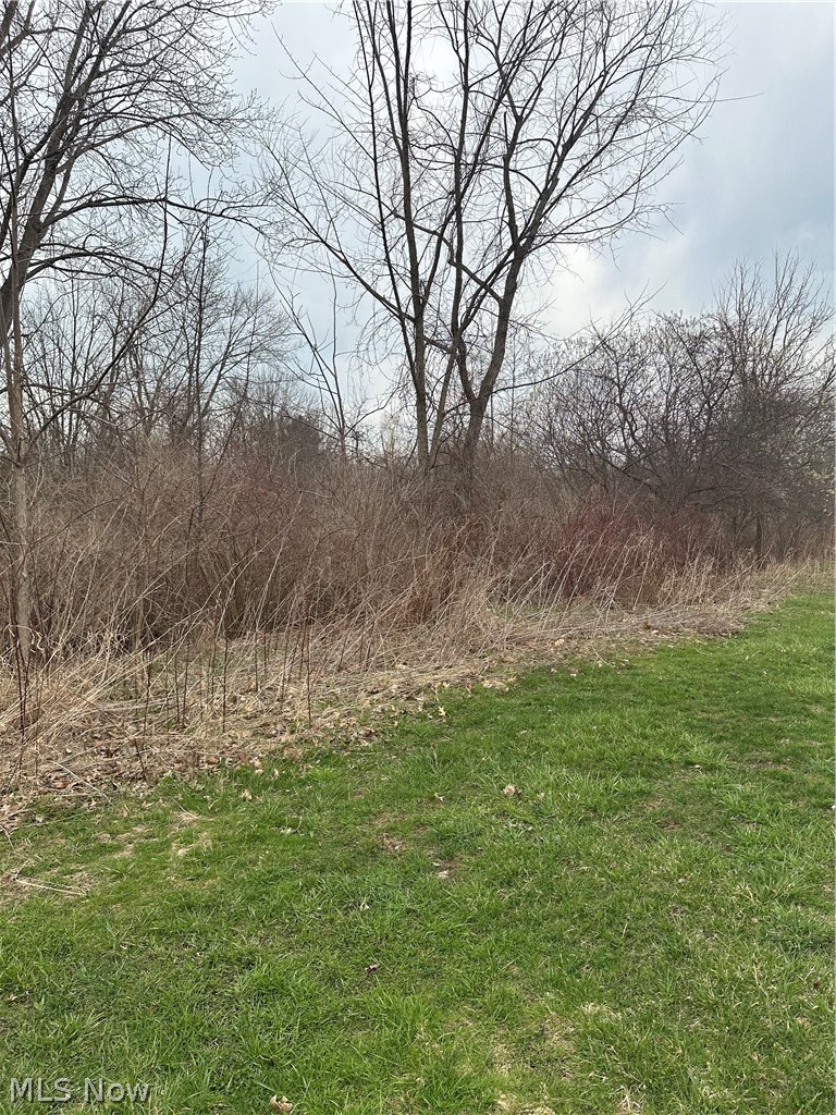 V/l Appaloosa Trail Madison OH 44057