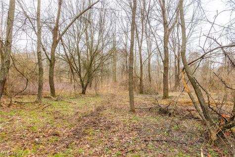 Pigeon Run Avenue SW Navarre OH 44662