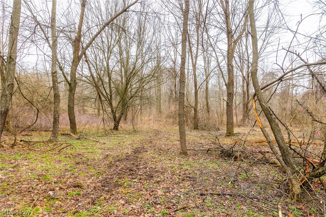 Pigeon Run Avenue SW Navarre OH 44662