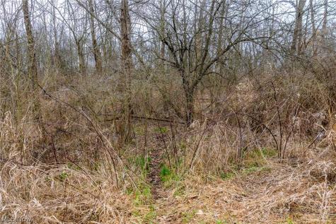 Pigeon Run Avenue SW Navarre OH 44662