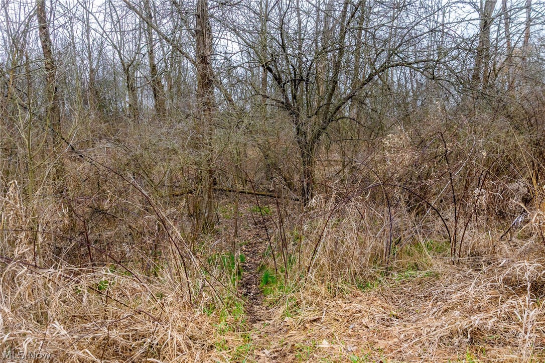 Pigeon Run Avenue SW Navarre OH 44662