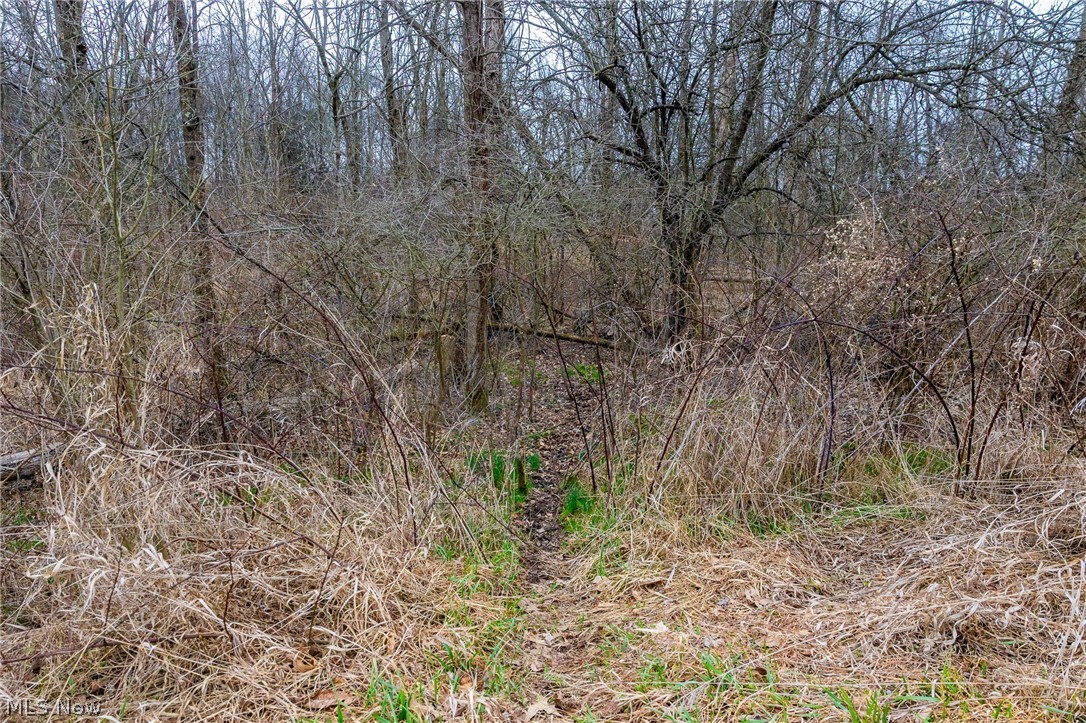 Pigeon Run Avenue SW Navarre OH 44662