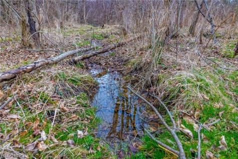 Pigeon Run Avenue SW Navarre OH 44662