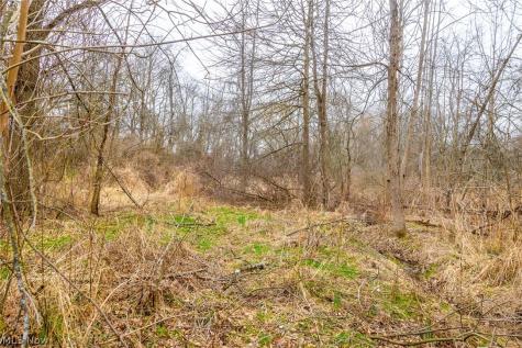 Pigeon Run Avenue SW Navarre OH 44662