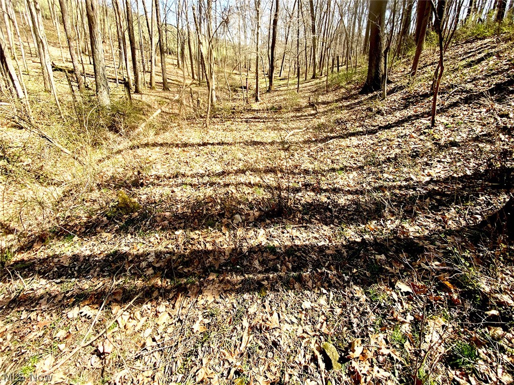 0 Township Road 408 Warsaw OH 43844