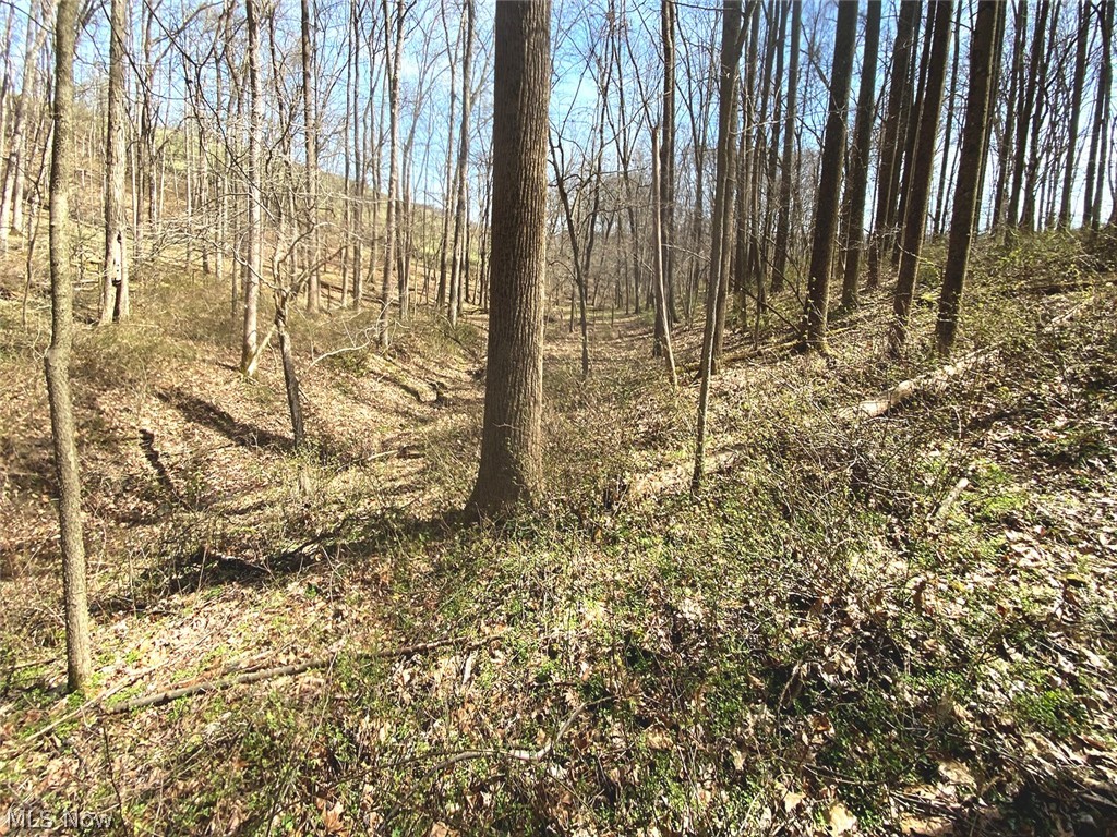 0 Township Road 408 Warsaw OH 43844