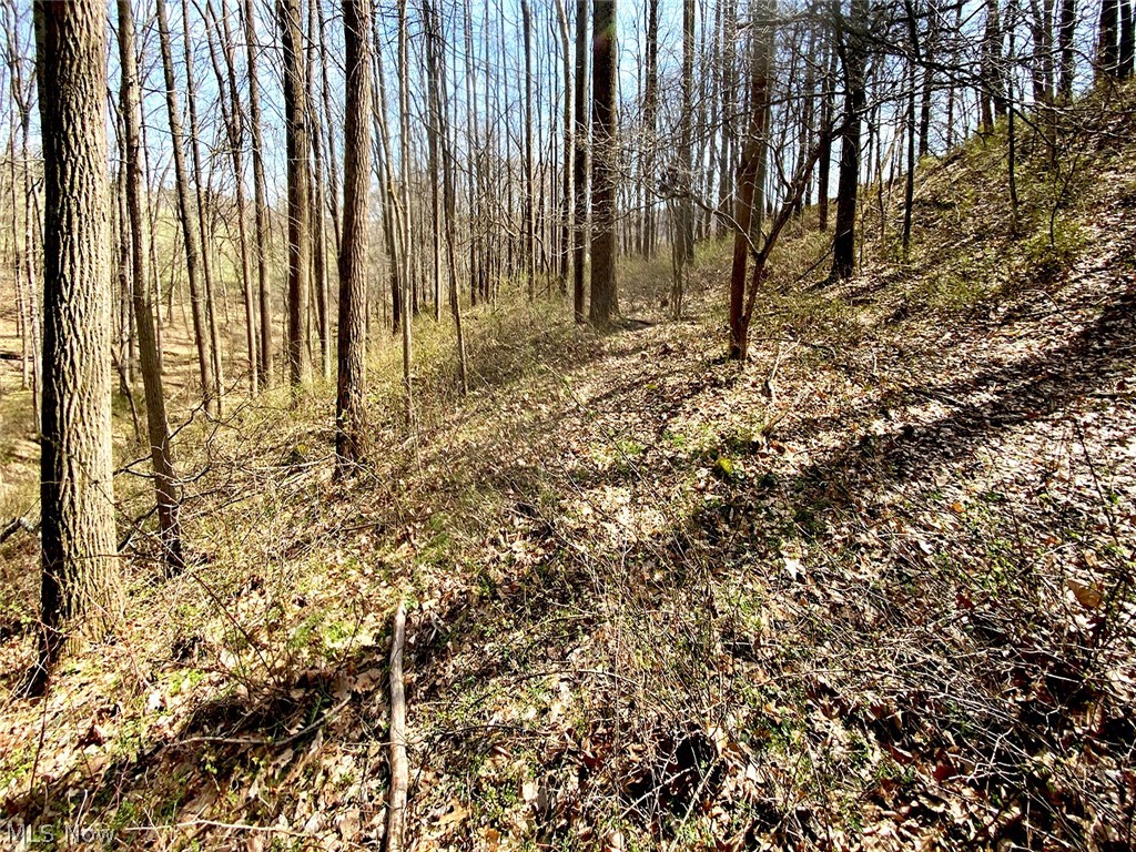 0 Township Road 408 Warsaw OH 43844
