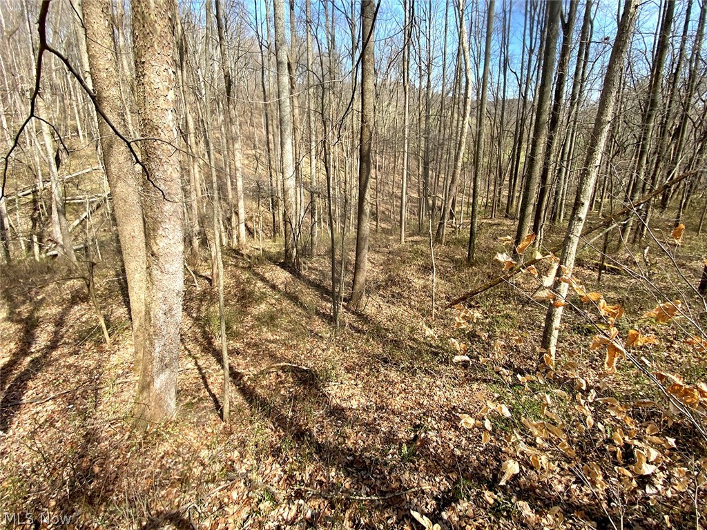 0 Township Road 408 Warsaw OH 43844