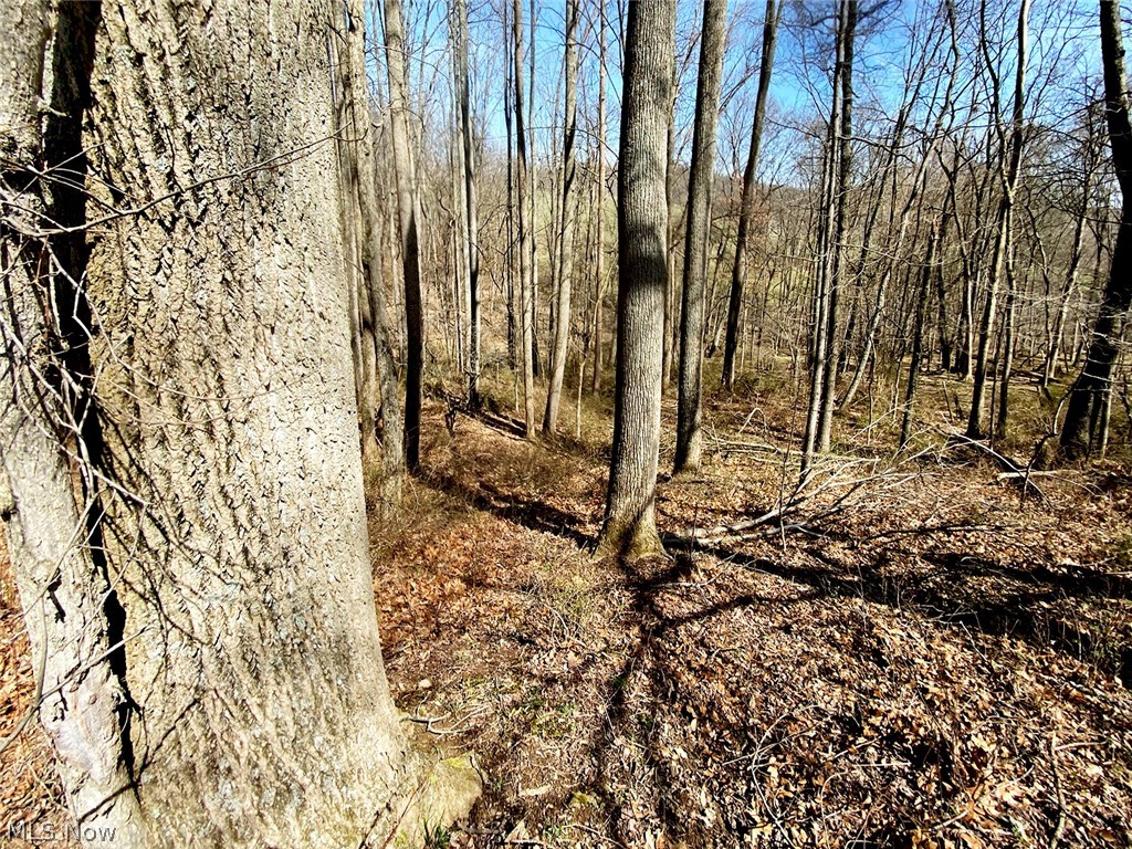 0 Township Road 408 Warsaw OH 43844