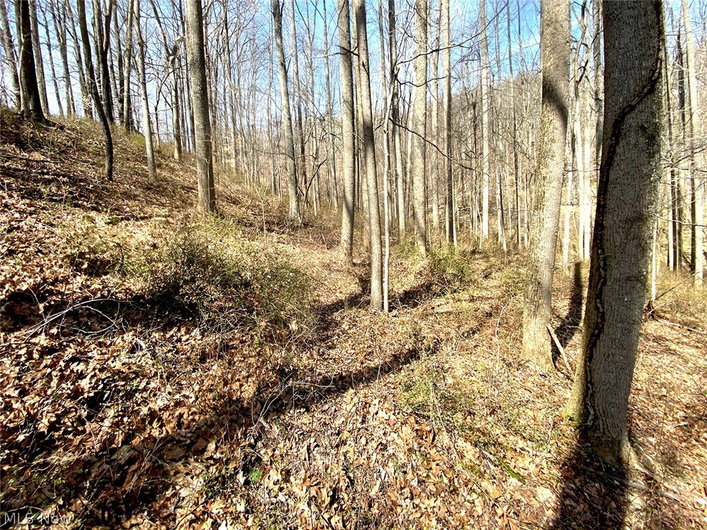 0 Township Road 408 Warsaw OH 43844