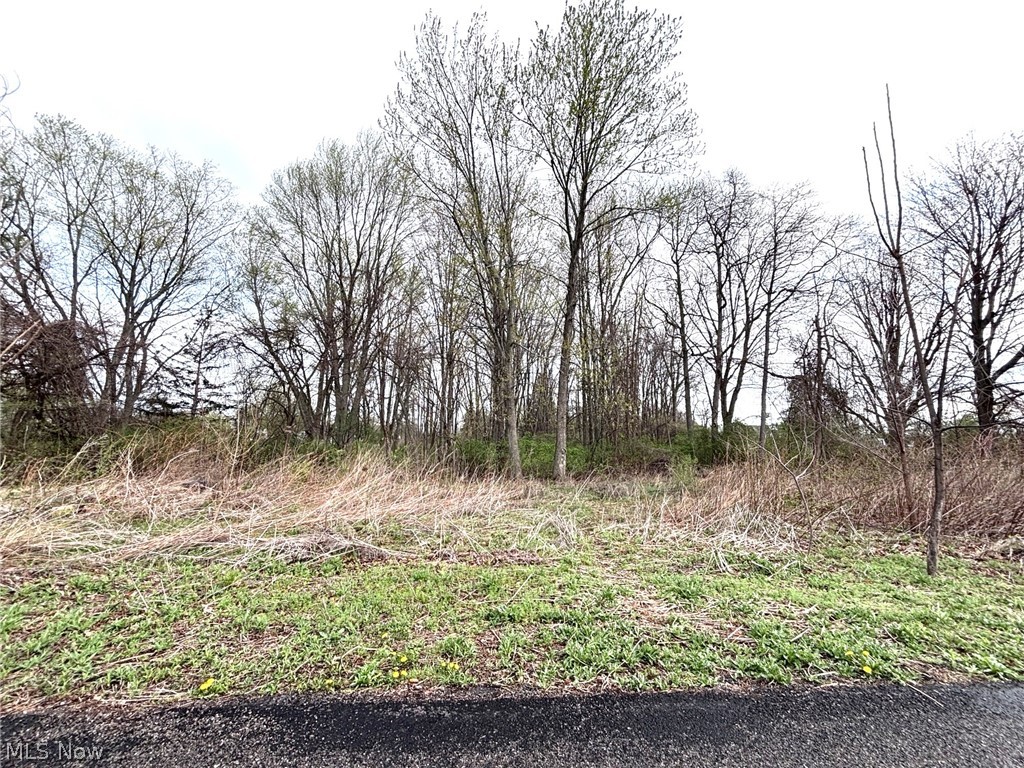 43033 N Ridge Road Elyria OH 44035