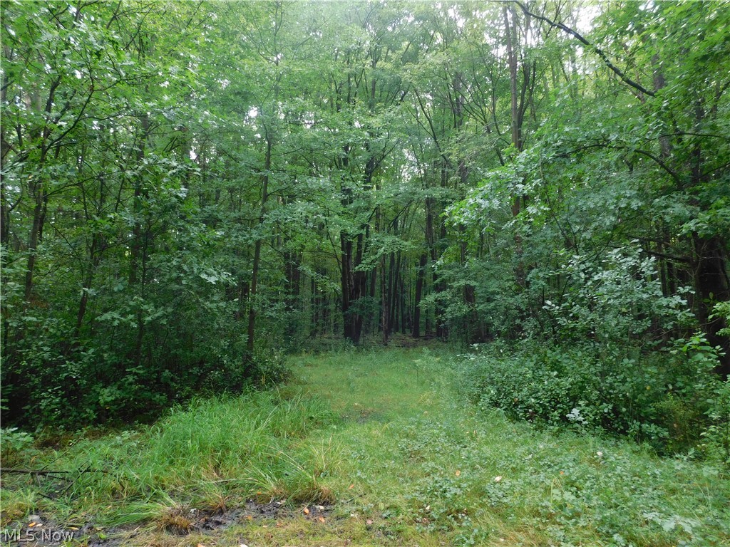 Hyde Road Rome OH 44085