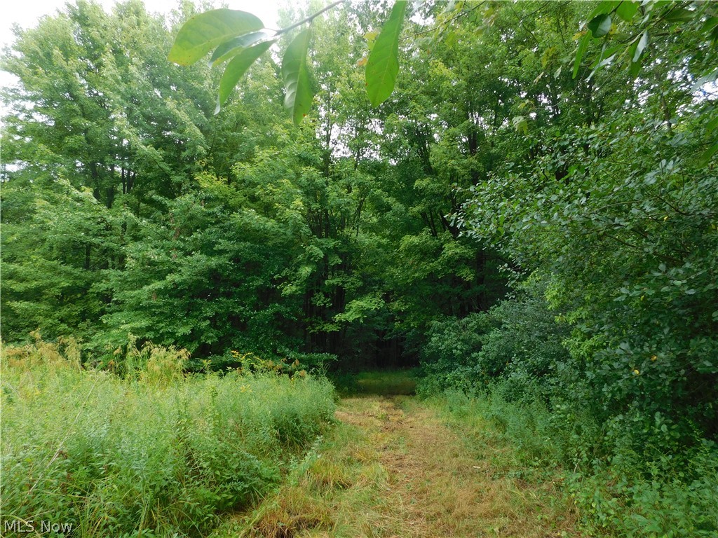 Hyde Road Rome OH 44085