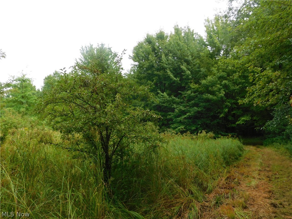 Hyde Road Rome OH 44085