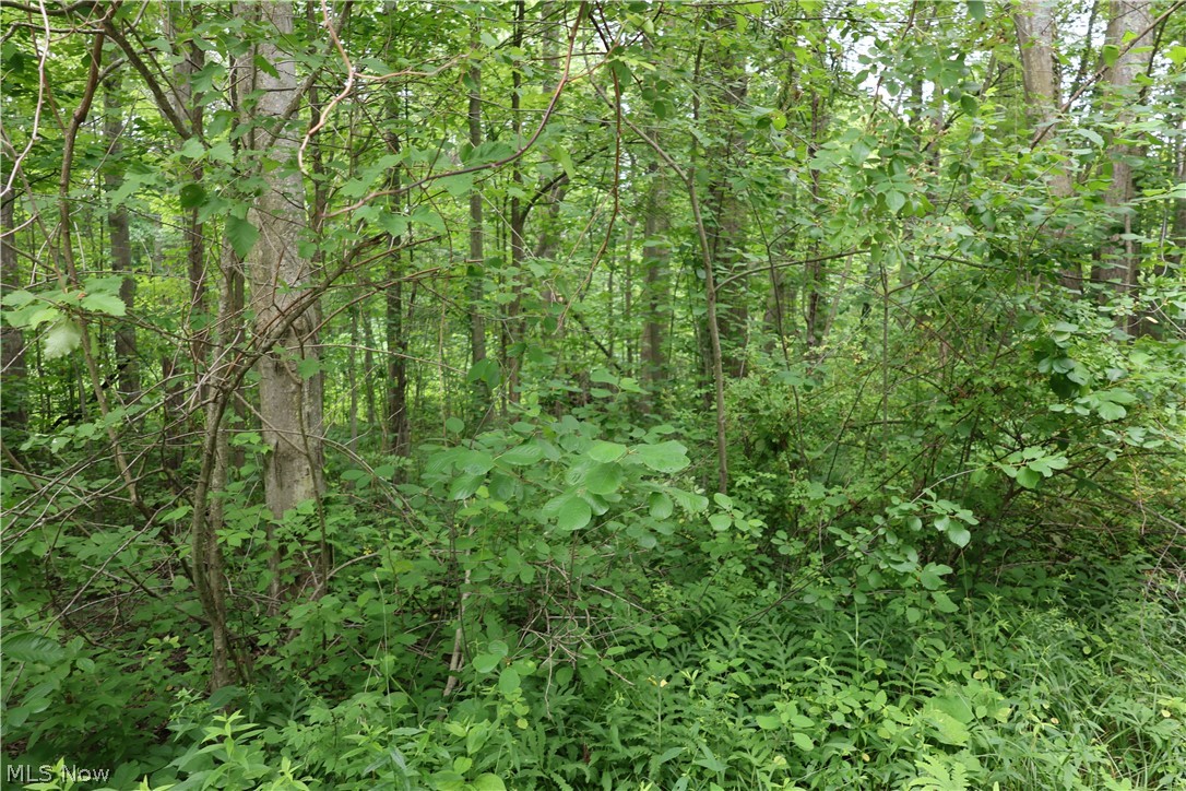2807 Morningside Avenue Saybrook OH 44004