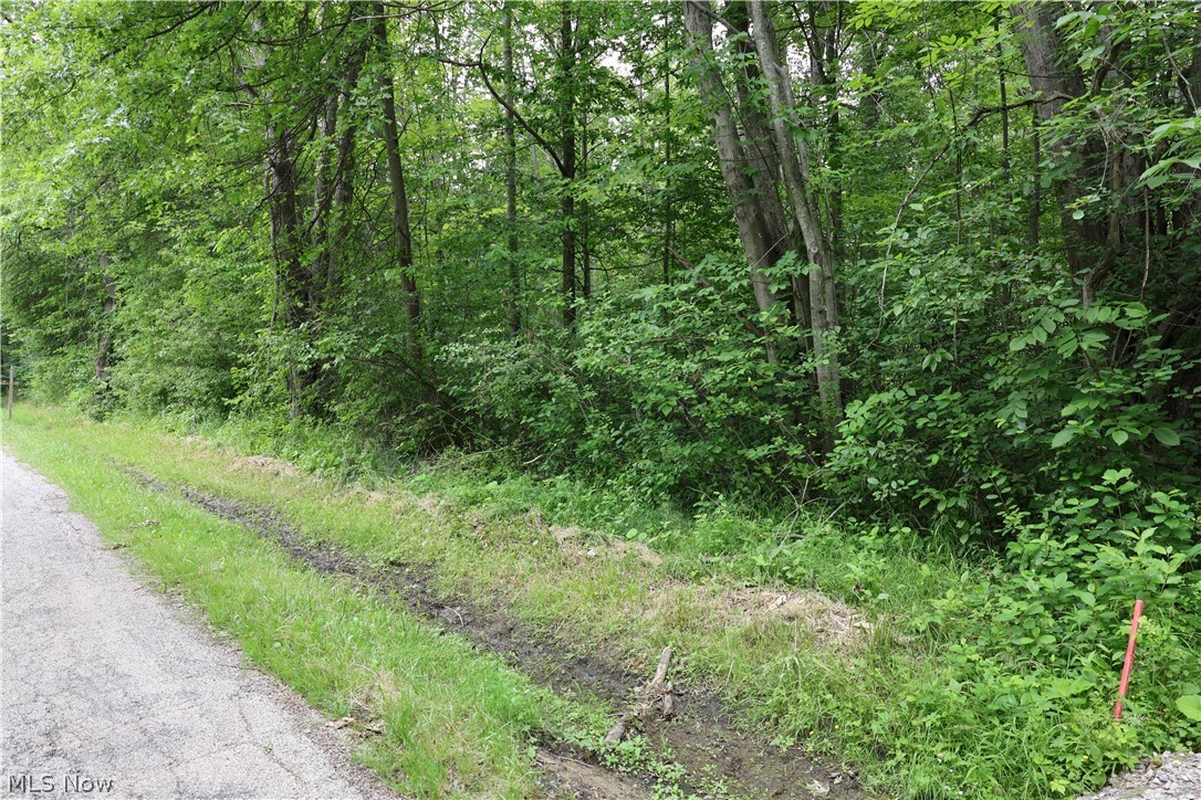 2807 Morningside Avenue Saybrook OH 44004