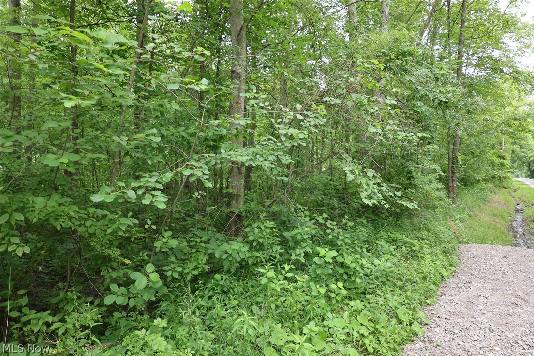 2807 Morningside Avenue Saybrook OH 44004