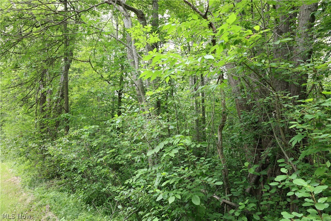 2807 Morningside Avenue Saybrook OH 44004