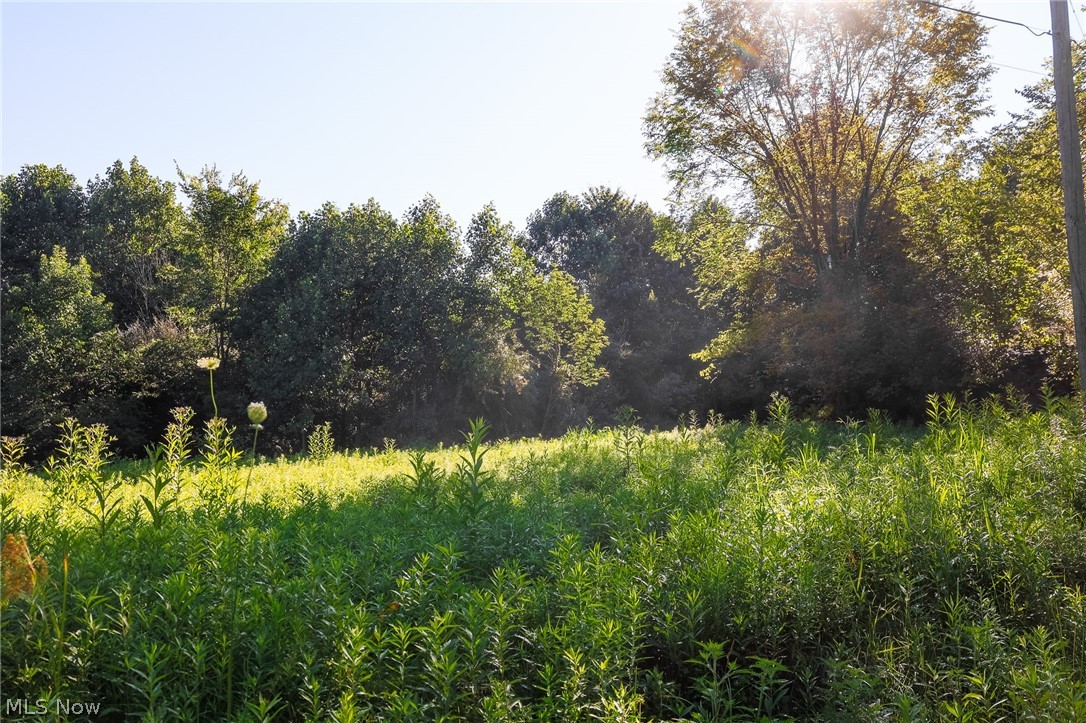 9982 SW Erie Avenue Beach City OH 44608