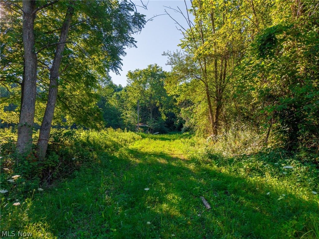 9982 SW Erie Avenue Beach City OH 44608