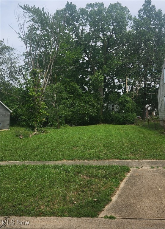Canton Avenue Lorain OH 44055