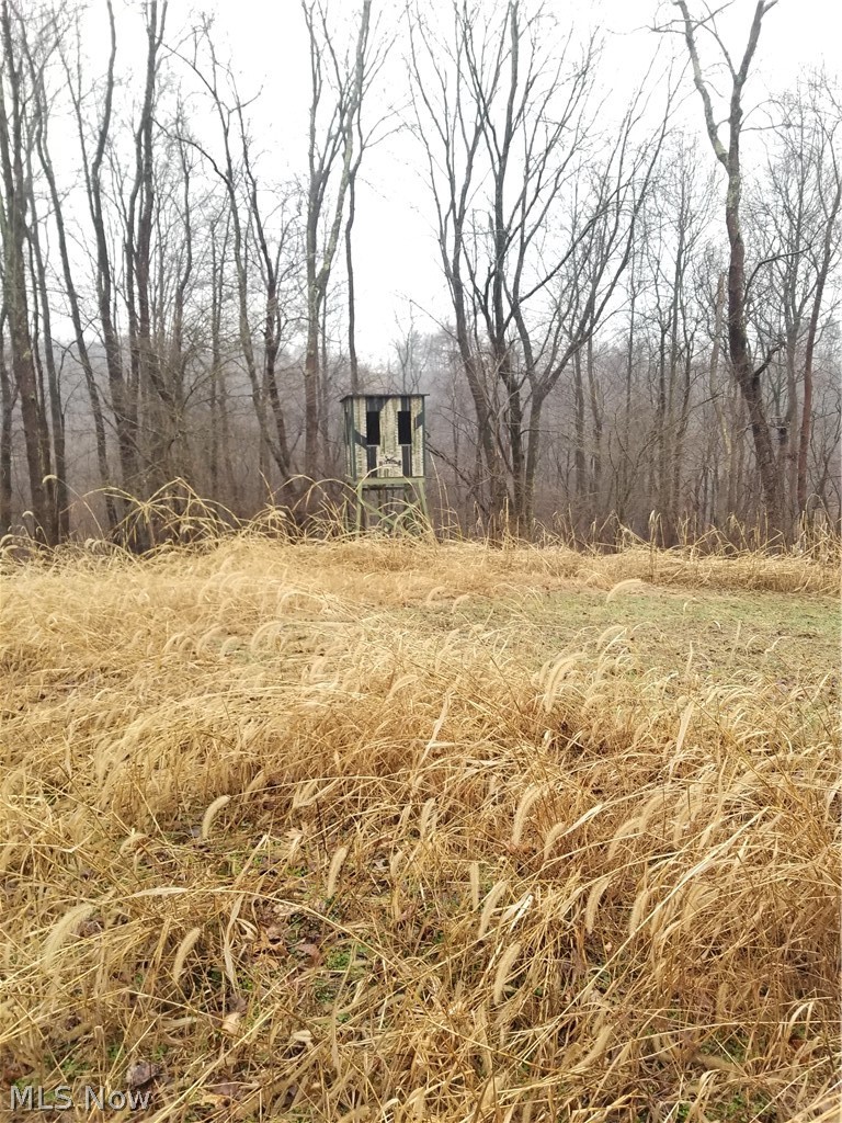 SW Harmony Valley Road Newcomerstown OH 43832