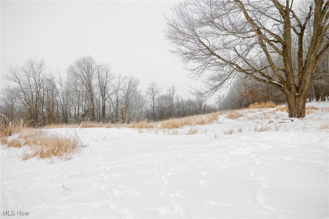 SW Harmony Valley Road Newcomerstown OH 43832