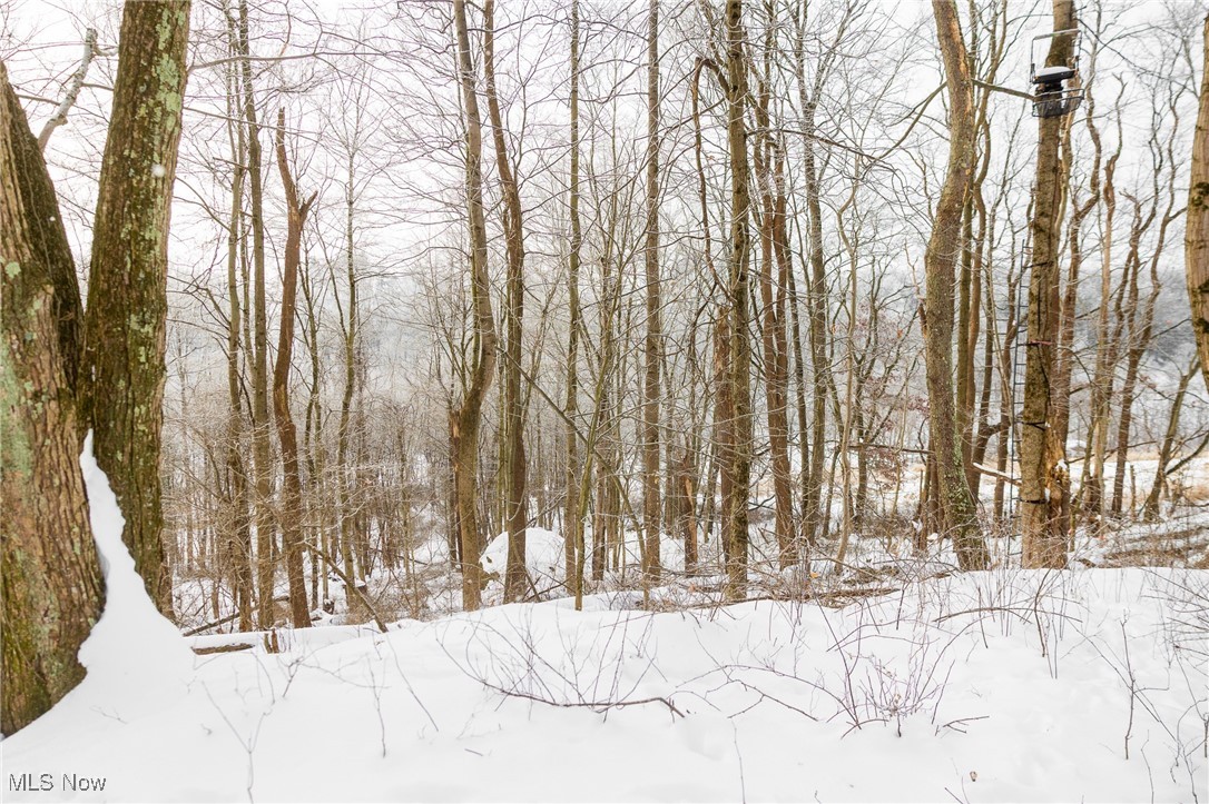 SW Harmony Valley Road Newcomerstown OH 43832