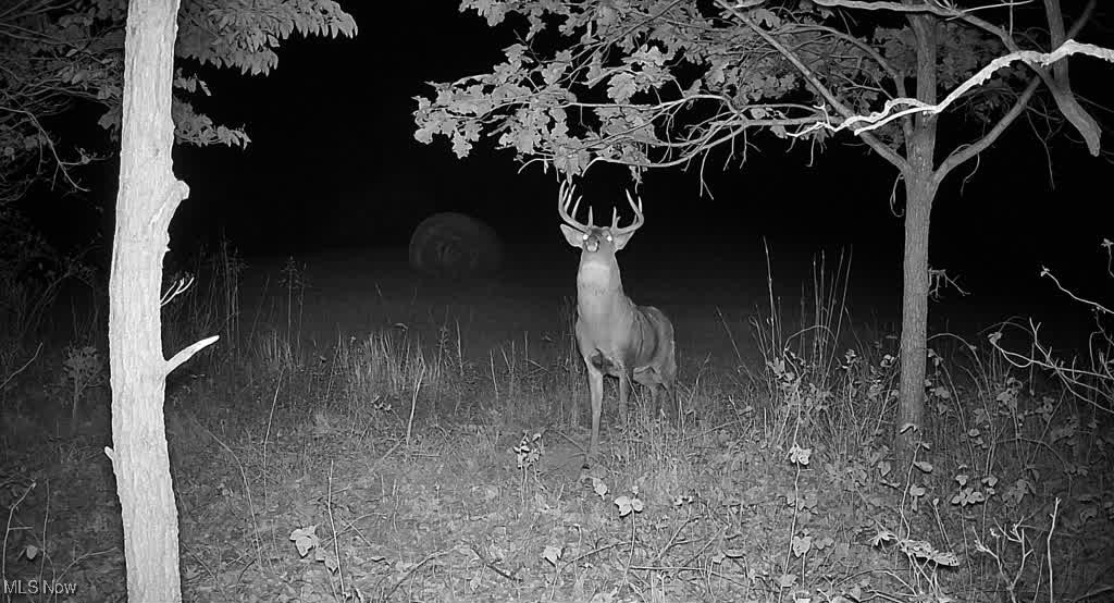 SW Harmony Valley Road Newcomerstown OH 43832