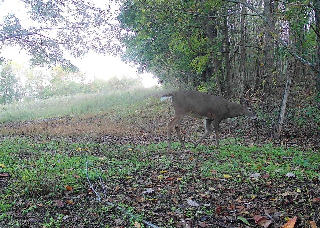 SW Harmony Valley Road Newcomerstown OH 43832