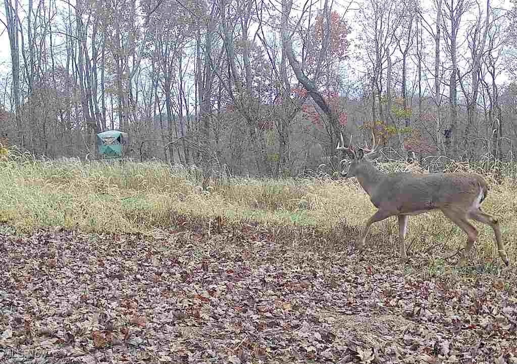 SW Harmony Valley Road Newcomerstown OH 43832