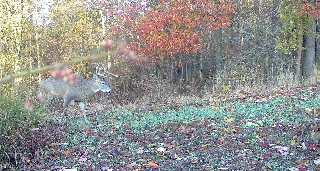 SW Harmony Valley Road Newcomerstown OH 43832