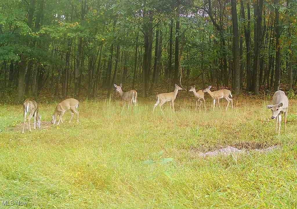 SW Harmony Valley Road Newcomerstown OH 43832