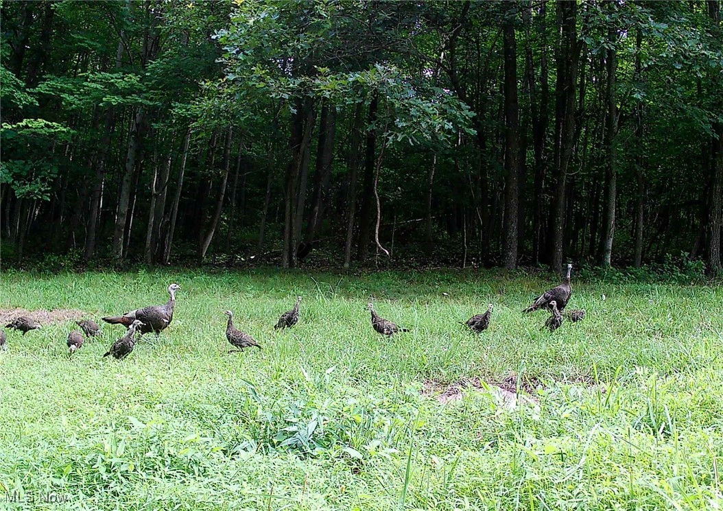 SW Harmony Valley Road Newcomerstown OH 43832