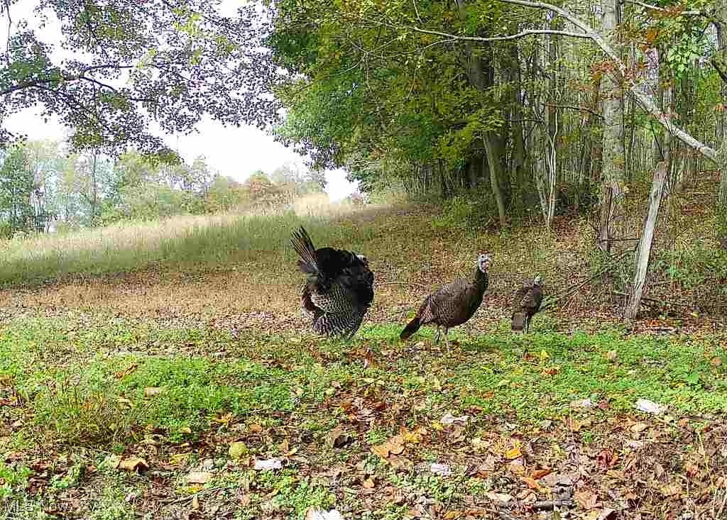 SW Harmony Valley Road Newcomerstown OH 43832