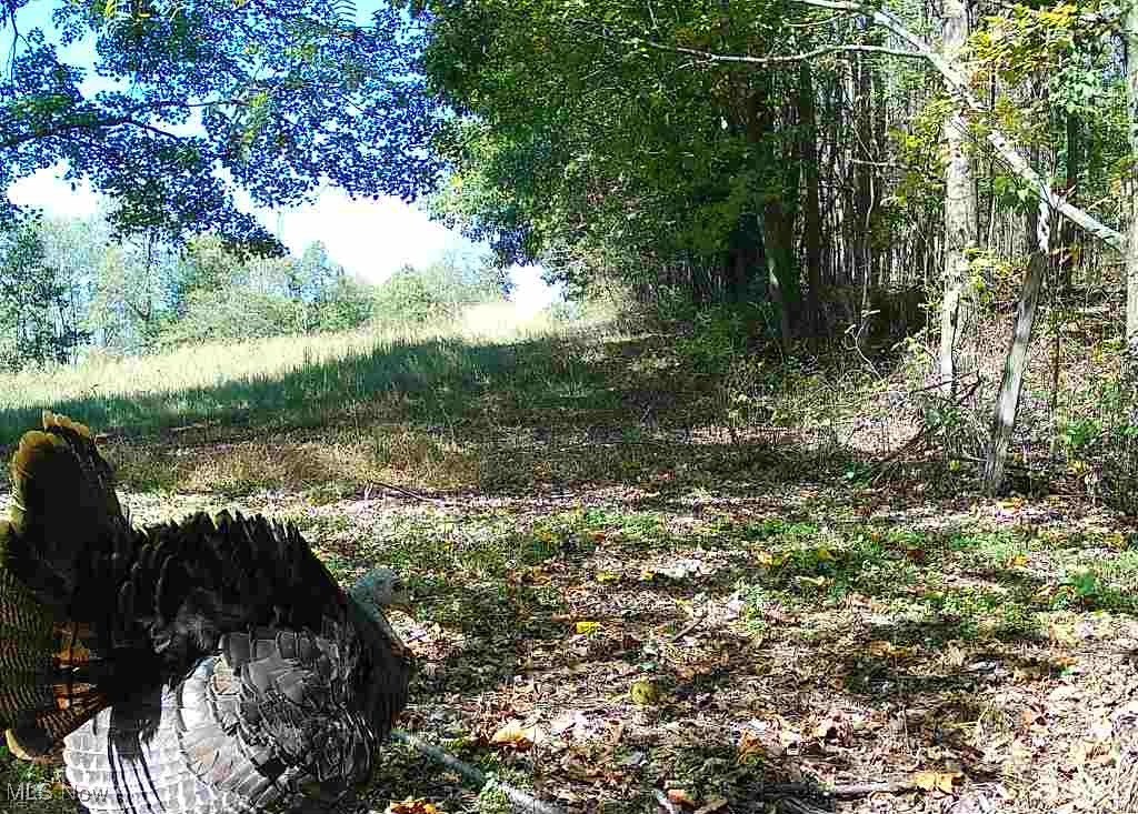SW Harmony Valley Road Newcomerstown OH 43832