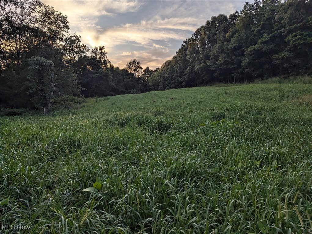 SW Harmony Valley Road Newcomerstown OH 43832