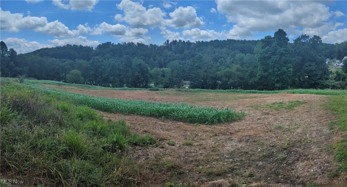 SW Harmony Valley Road Newcomerstown OH 43832