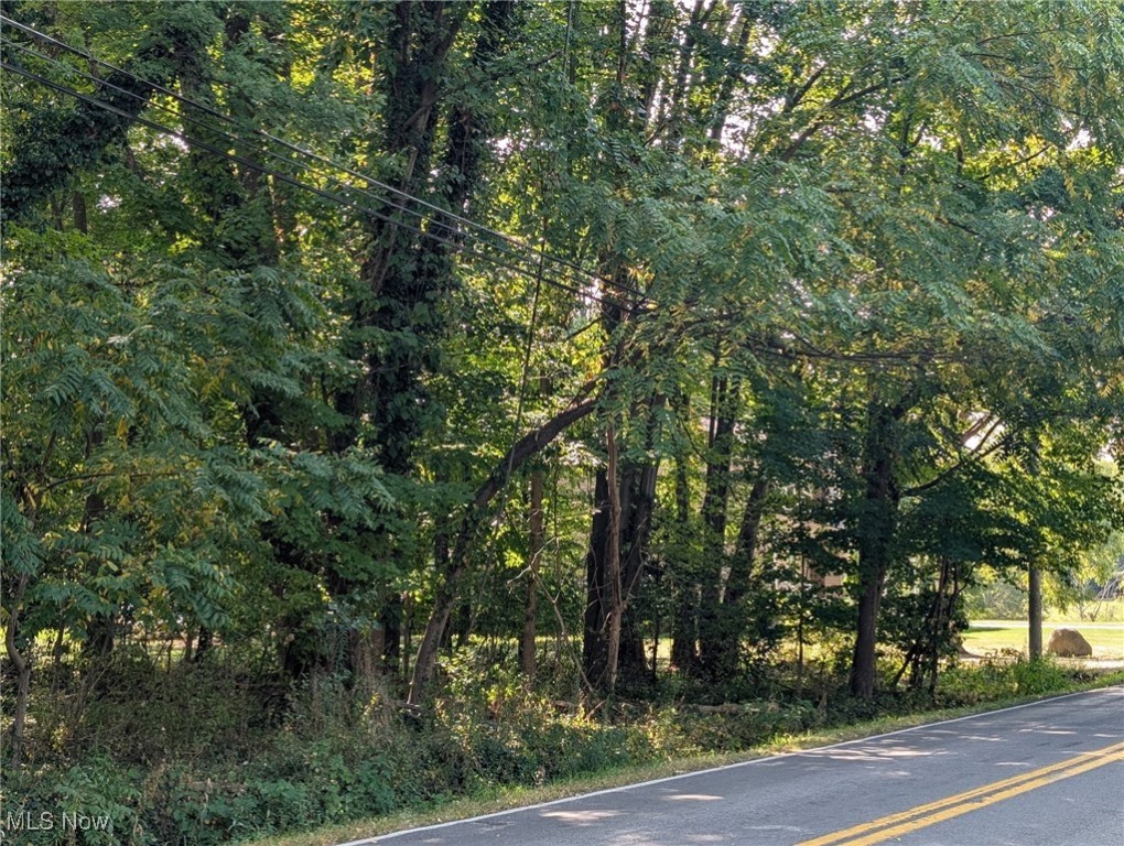 Schocalog Road Akron OH 44320