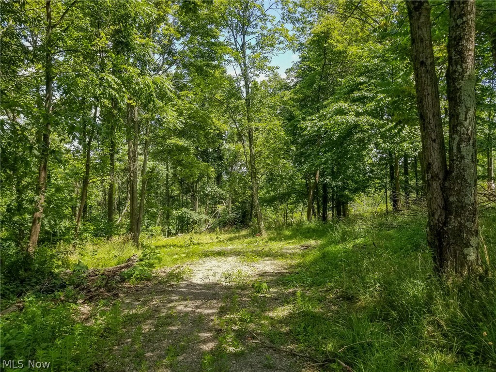 75294 Bethel Road Newcomerstown OH 43732