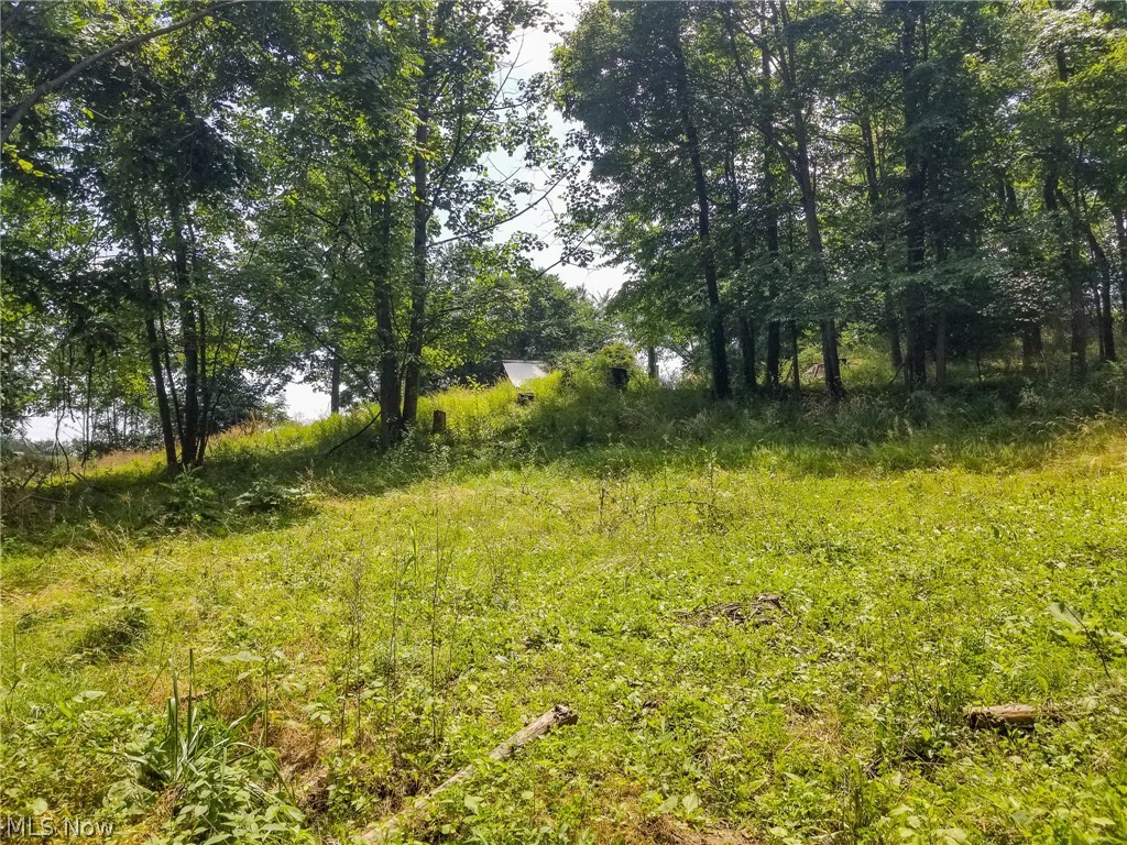 75294 Bethel Road Newcomerstown OH 43732