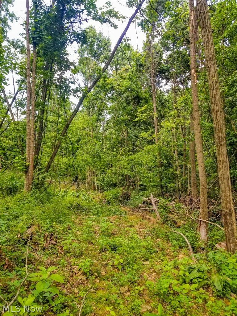 75294 Bethel Road Newcomerstown OH 43732