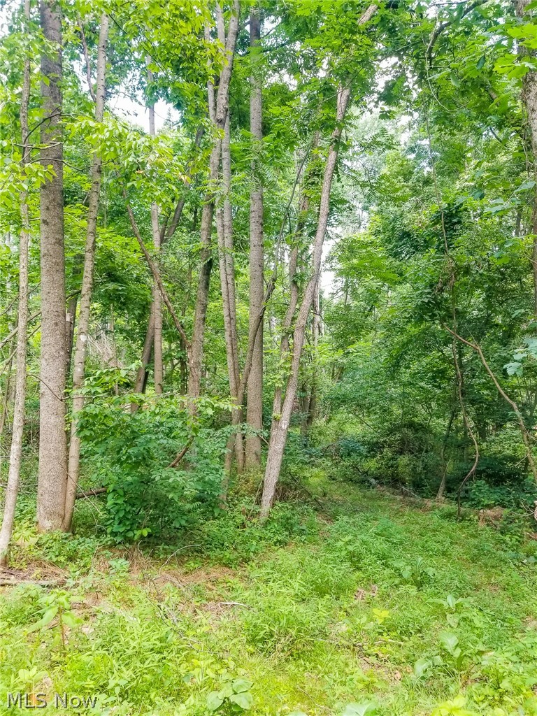 75294 Bethel Road Newcomerstown OH 43732