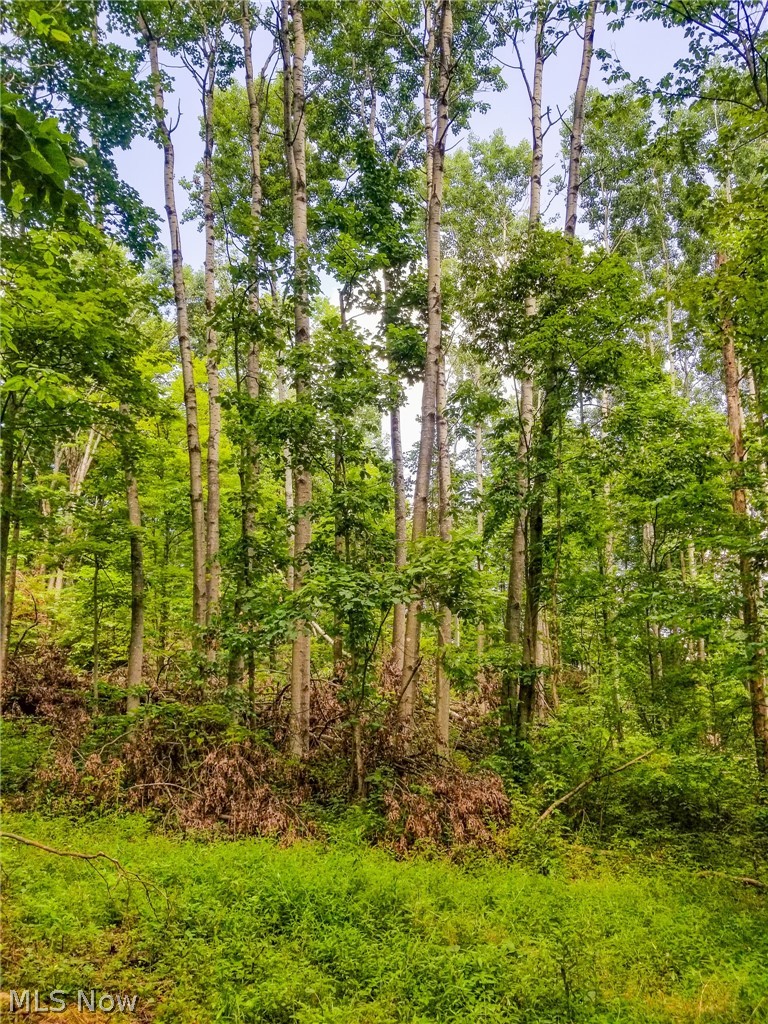75294 Bethel Road Newcomerstown OH 43732