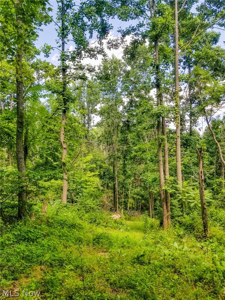 75294 Bethel Road Newcomerstown OH 43732