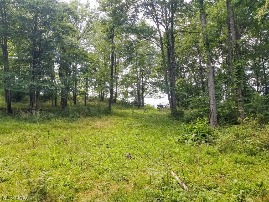 75294 Bethel Road Newcomerstown OH 43732