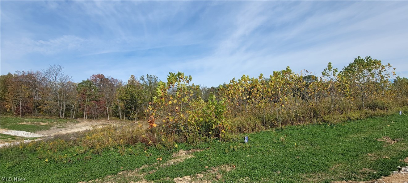 Ville 2 Hidden Ridge Road North Royalton OH 44133
