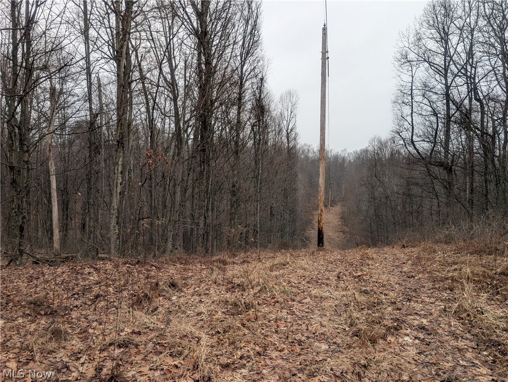 0 Tract 9 Township Road 272 Lewisville OH 43754