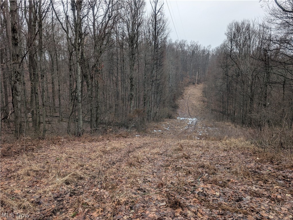 0 Tract 9 Township Road 272 Lewisville OH 43754