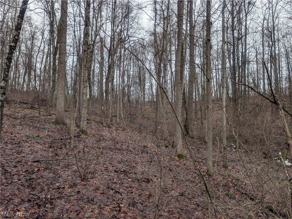 0 Tract 9 Township Road 272 Lewisville OH 43754